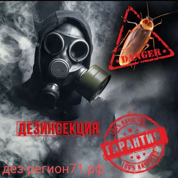 Уничтожение тараканов в Туле