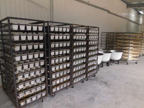 Полный комплект оборудования для хлебопекарного производства в Октябрьского фото 3