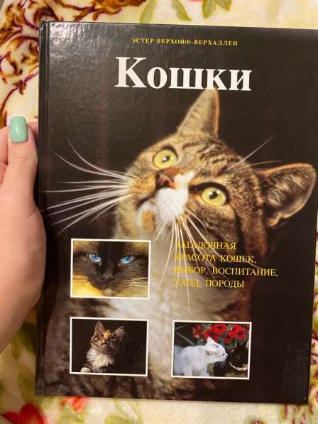 Книга «кошки» в Санкт-Петербурге