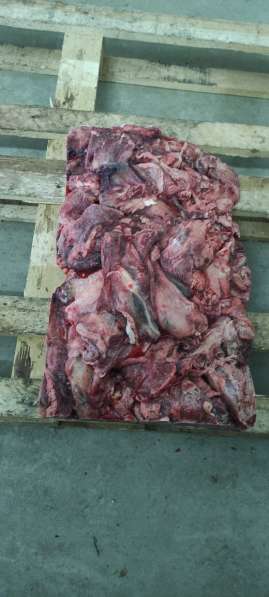 Продать субпродукты говяжьи замороженные и мясо говядины в 