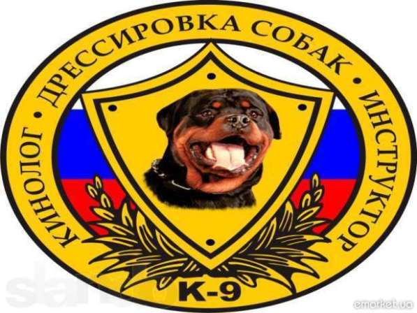 Консультации кинолога! в 