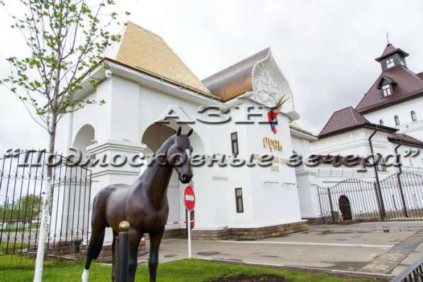 realty_mapper3.plot_in_locationИндивидуальное жилищное ст-во. Площадь 7.50 сот.Есть Электричество. в Москве фото 6