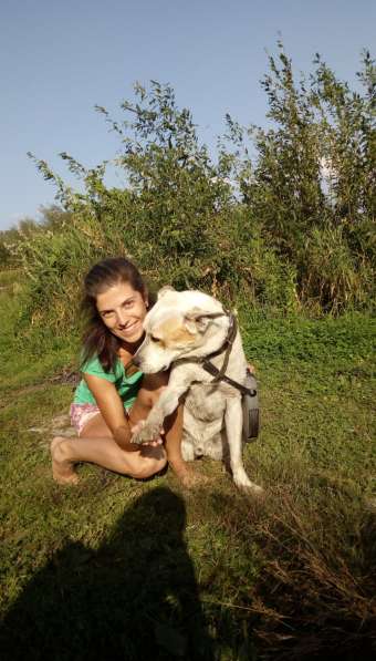 Собаке очень нужен дом в Нижнем Новгороде фото 18