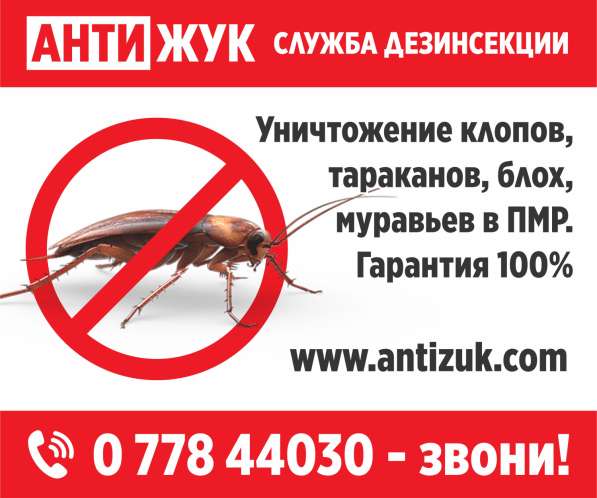 Уничтожение постельных клопов в квартире в Тирасполе