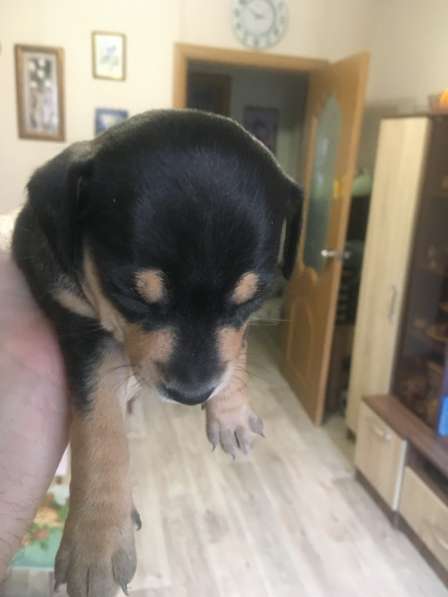 Умные в Магнитогорске фото 3