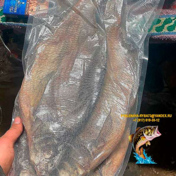 Рыба вяленая и сушена Лещ по цене 320 руб./кг