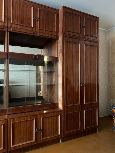 Отдам бесплатно в Барнауле