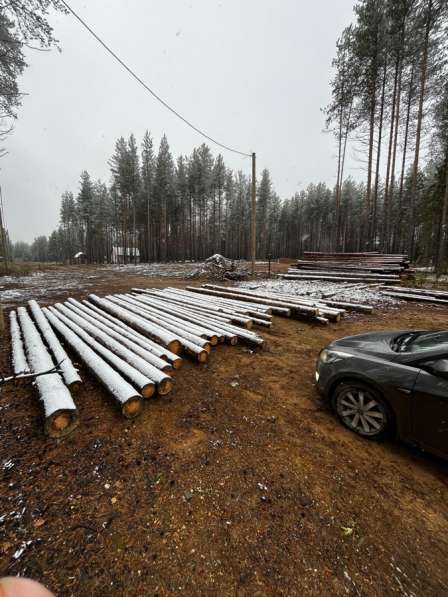 Продам бревна