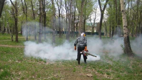 Уничтожение комаров клещей кротов Солнечногорск в Солнечногорске