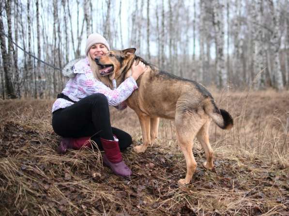Большой добрый Борман ищет семью в Москве фото 21