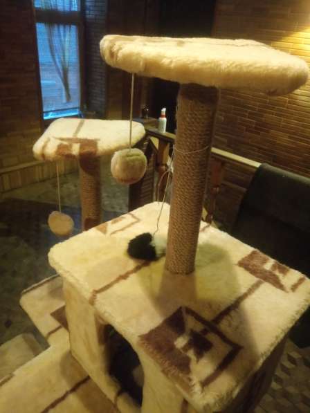 Домик-стойка для кошек с когтеточкой(7 уровней) в Краснодаре фото 3
