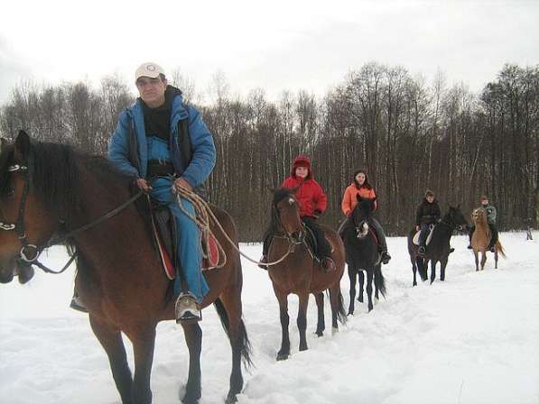 Детский конный лагерь в Подмосковье в Новогодние каникулы в Москве
