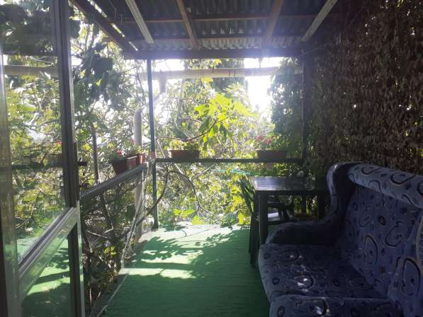 Отдельный номер с двориком в Симеизе в Ялте фото 49