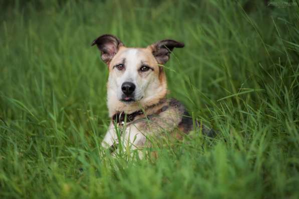Молодой энергичный Майор ищет семью в Москве фото 33