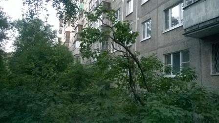 Продам однокомнатную квартиру в Жуковском. Жилая площадь 33 кв.м. Этаж 7. Дом панельный. 