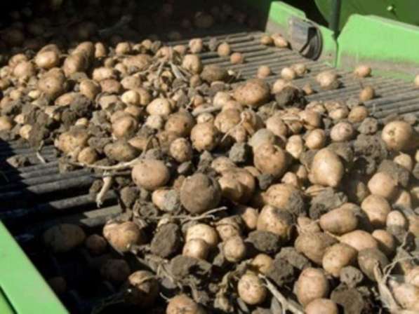 Продам сельхозпредприятие, кфх, выращивание картофеля, произ