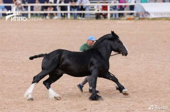 Продам участок, отличное расположение и красивая природа в Тюмени фото 6