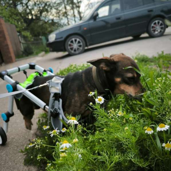 Чудесный мальчик Митя из приюта ищет семью в Санкт-Петербурге фото 5