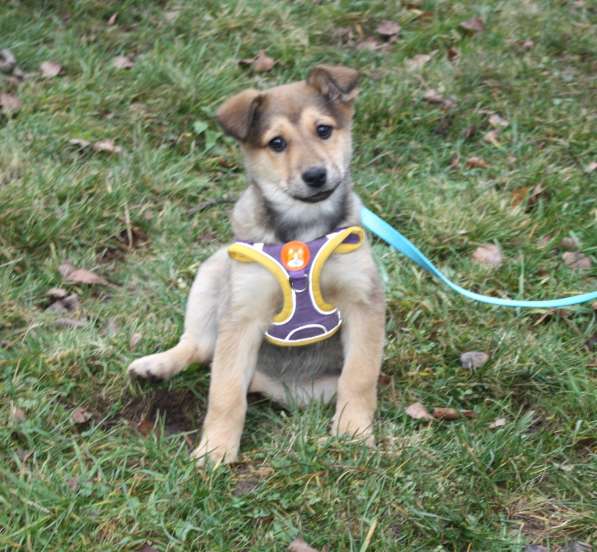 Малышка Нюша очень ждет своего родного ЧЕЛОВЕКА в Москве