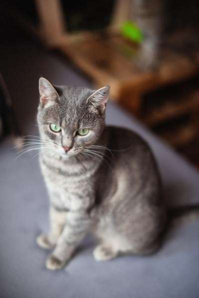 Нежная и ласковая Зоя ищет свою семью в Москве