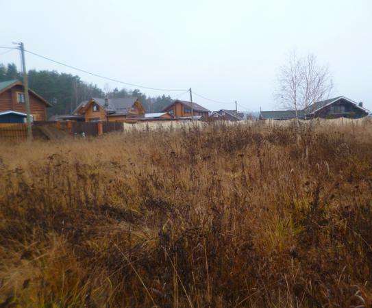 Участок в Ногинске фото 4