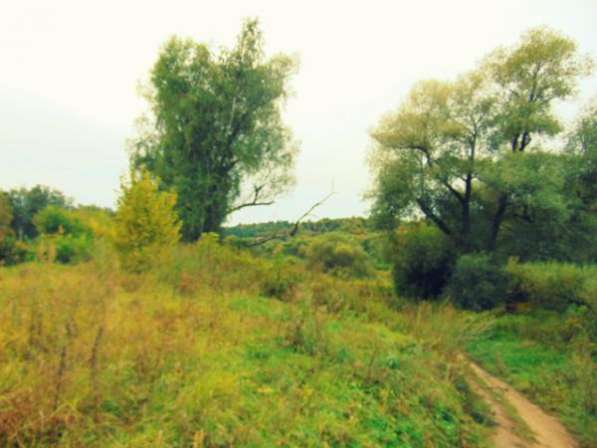 22 сoтки на берегу реки в г.Звенигoрoде. в Звенигороде фото 4