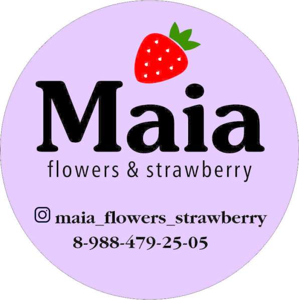 Графический дизайнер