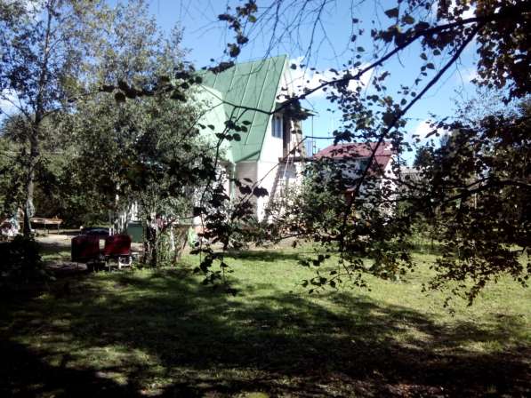 Продам дачу в Клине фото 9