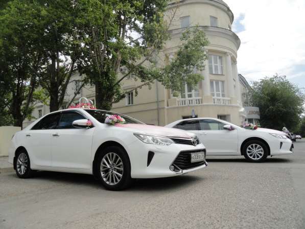 Кортеж из автомобилей Toyota на свадьбу, машины и украшения в Волгограде фото 5