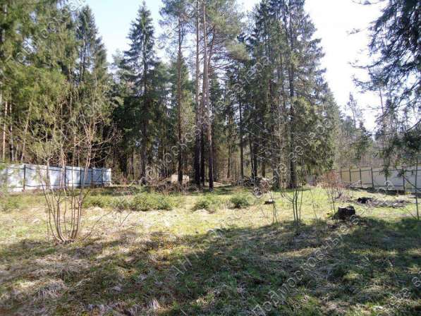 realty_mapper3.plot_in_locationСадовое некоммерческое тов-во. Площадь 20.00 сот.Есть Электричество. в Москве фото 11