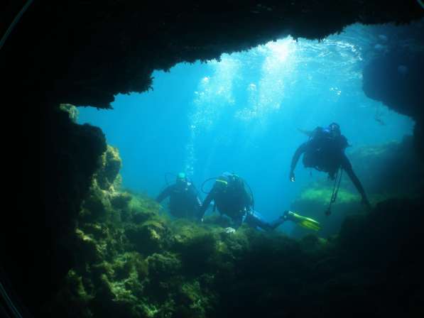 Дайвинг. Обучение дайвингу в Евпатории фото 16