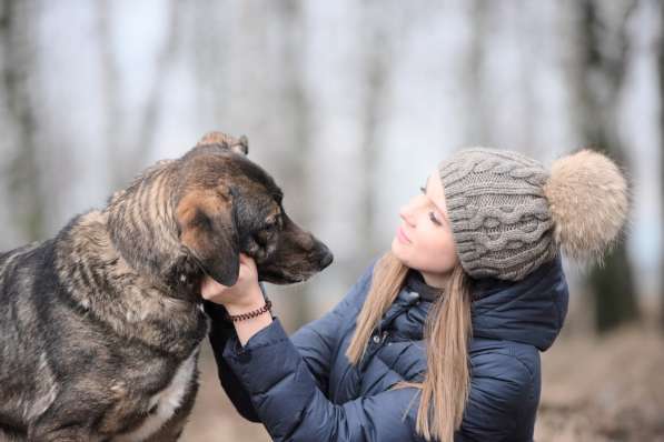 Надёжный Друг Курт ищет семью в Москве фото 61