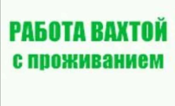 Упаковщики /цы