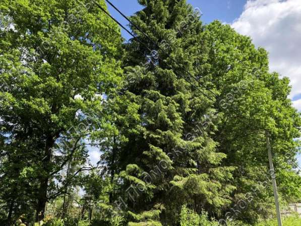 realty_mapper3.plot_in_locationПлощадь 42.00 сот.Есть Газ, Водопровод. в Москве