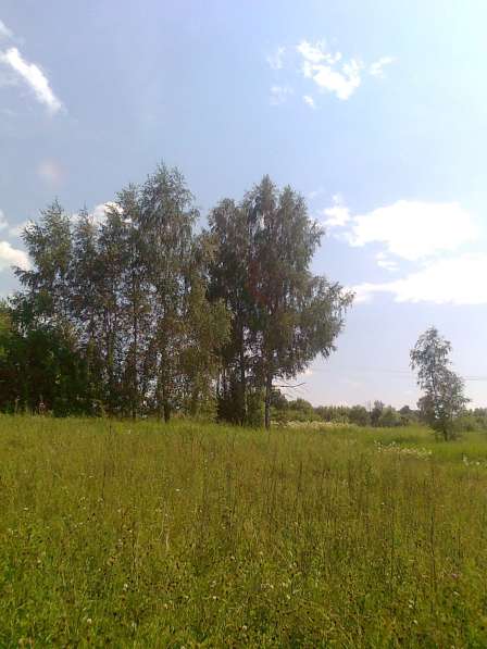 Продаю участок для дачи (ЛПХ) в д. Л. Ящерово, 75км от МКАД в Серпухове фото 3