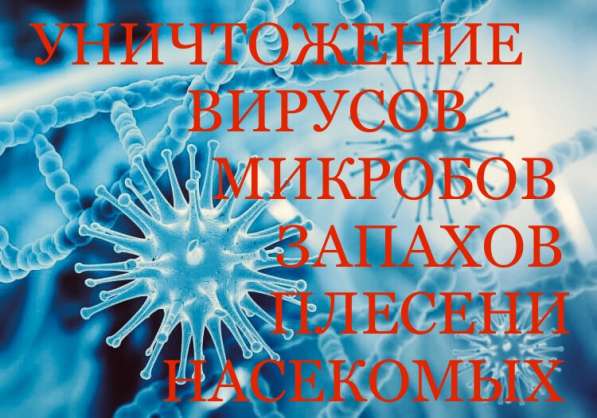 Уничтожение, насекомых, грызунов. Дезинфекция в Владикавказе фото 3