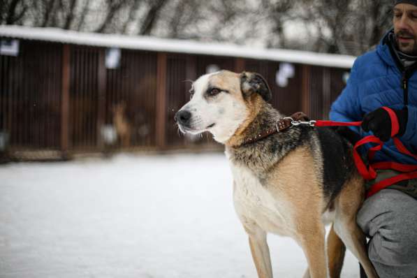 Молодой энергичный Майор ищет семью в Москве фото 23