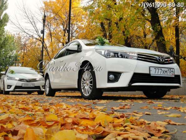 Данко - кортеж - авто на свадьбу, украшения для машин прокат в Волгограде фото 6