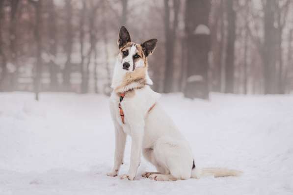 Тунис в поисках любящей семьи в Москве фото 32