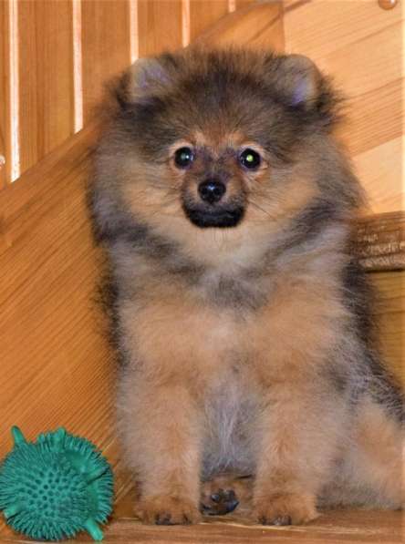 Очаровашка в Одинцово фото 11