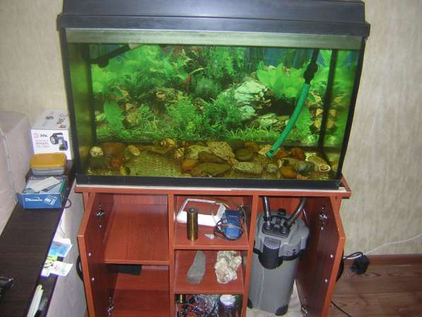 Продаю аквариум с тумбой. фильтром и ультрафиолетом в Омске