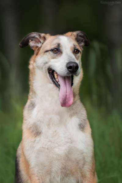 Молодой энергичный Майор ищет семью в Москве фото 40