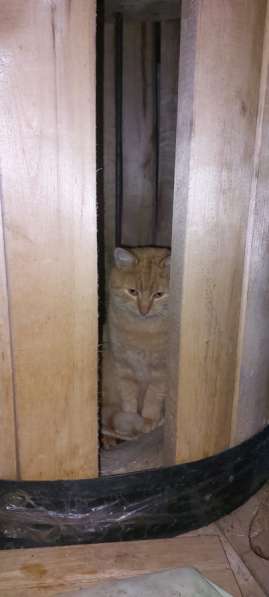 Срочно нужна помощь!