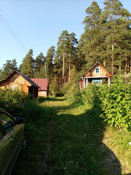 Сад в г. Белорецк в Магнитогорске фото 6