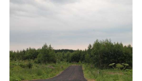 Участок у водохранилища в Москве фото 13