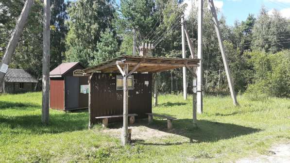Уютный участок 30 соток в березовой роще в СНТ "Ветеран" в Пскове фото 7