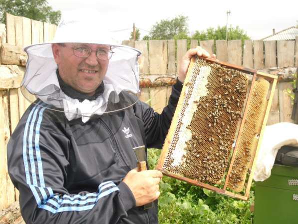 Мёд 1л пчелиный Зауральский с пасеки в Кургане с доставкой в Кургане фото 8
