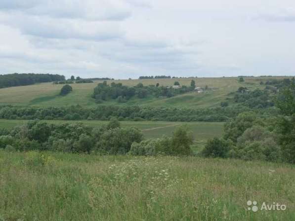 Участок 15 соток в Туле фото 14