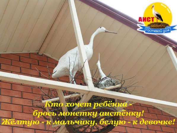 Отдых в саках в Дудинке фото 14