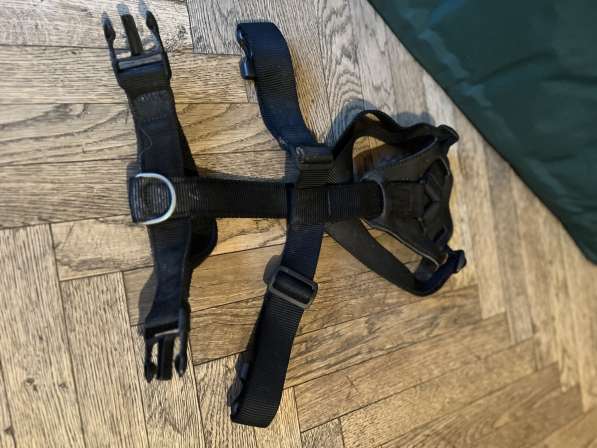 Намордник, Строгий ошейник, Шлейка, Следовой поводок в Москве